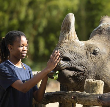 Rencontres Privilèges - Activité unique au plus près des animaux - ZooParc de Beauval