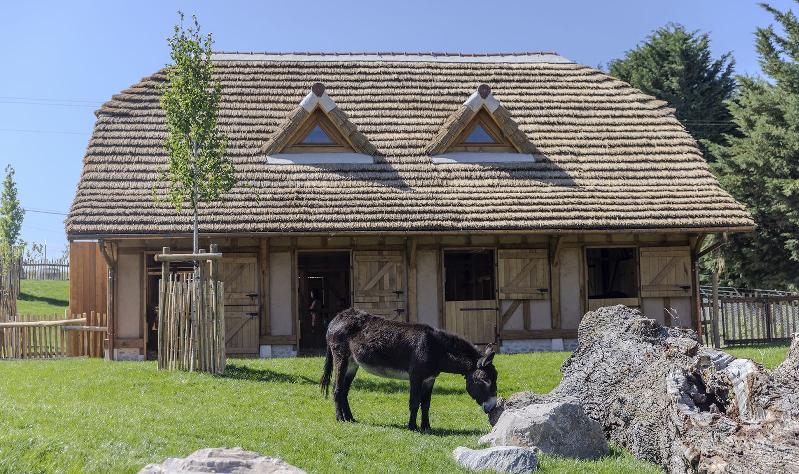 Bucolia - Ferme grandeur nature - Territoire du ZooParc de Beauval