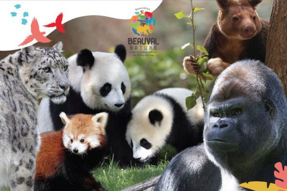 1 parrainage en octobre = + 10 € à Beauval Nature