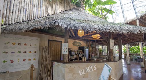 La Canopée - Restaurant - ZooParc de Beauval