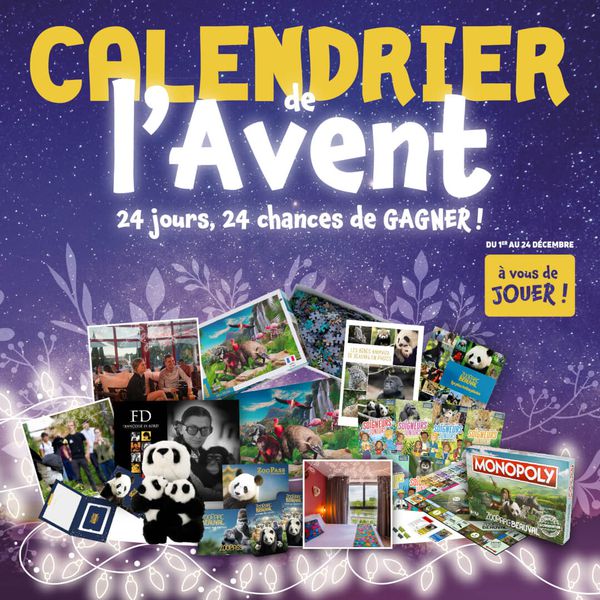 Calendrier de l'Avent 2024