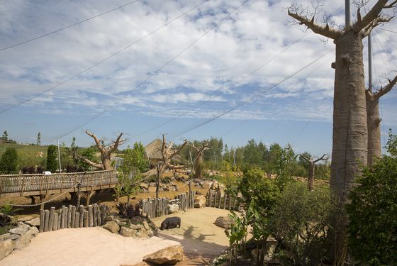 Vue du ciel de La Réserve des Hippopotames - Territoire du ZooParc de Beauval