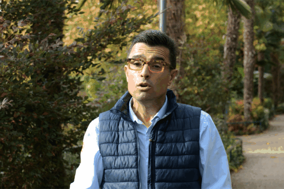 Un centre unique en Europe pour les dauphins à Beauval en mars-avril 2027