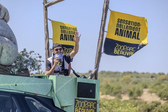 Beauval reprend la route du Tour de France : suivez notre carnet de bord !