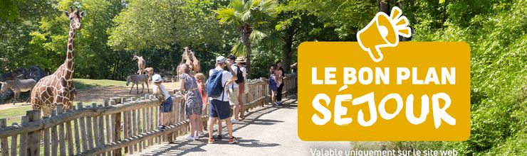 Bon plan séjour - Des avantages dans nos hôtels - Hauts de Beauval - ZooParc de Beauval Bon plan séjour - Des avantages dans nos hôtels - Hauts de Beauval - ZooParc de Beauval