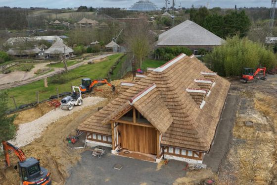 Bucolia : dans les coulisses de l’une des grandes nouveautés 2026 de Beauval