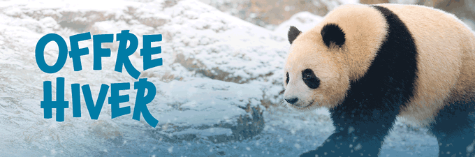 Remise sur les séjours - Offre spéciale hiver - ZooParc de Beauval
