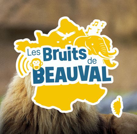 Jeu concours Tour de France - Bruits de Beauval - ZooParc de Beauval