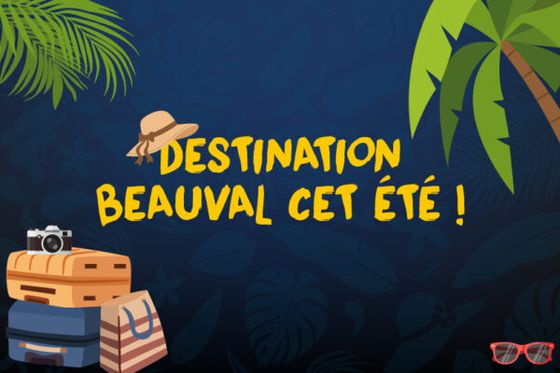 Destination Beauval : le jeu de l’été pour gagner un séjour et des entrées