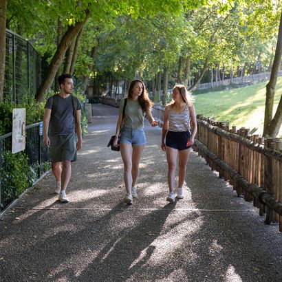 Trois personnes en train de marcher dans une allée arborée et ombragée au ZooParc de Beauval
