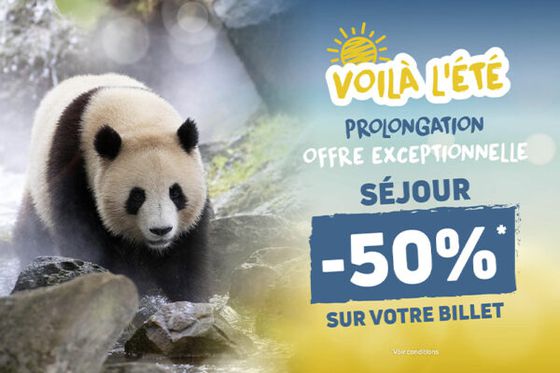 Voilà l’été : prolongation de nos offres exceptionnelles sur les billets et les séjours