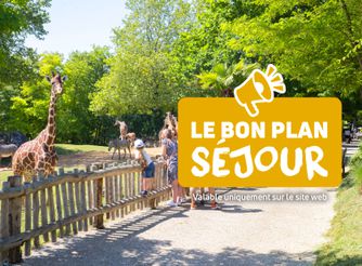 Séjour à Beauval - Hôtels thématiques - Rivages de Beauval - ZooParc de Beauval