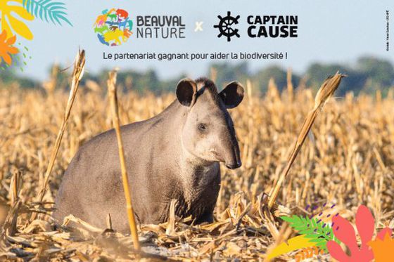Prix Beauval Nature 2024 : votez pour votre programme préféré, du 6 avril au 3 novembre !