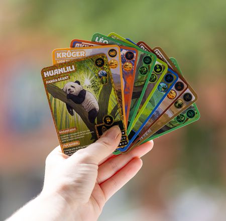 Collection de cartes animaux à collectionner - Restaurant du ZooParc de Beauval