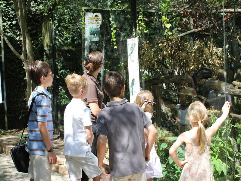 Classes OZO, visite d'écoliers avec médiateur - Activités du ZooParc de Beauval