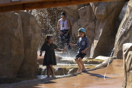 Make the most of Beauval, even in the heat!