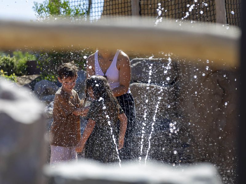 Les Roches Vives - Jeux d'eau pour les enfants - ZooParc de Beauval Les Roches Vives - Jeux d'eau pour les enfants - ZooParc de Beauval