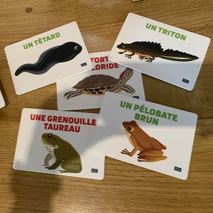 Animations matériel pédagogique faune locale - Maison Beauval Nature - ZooParc de Beauval