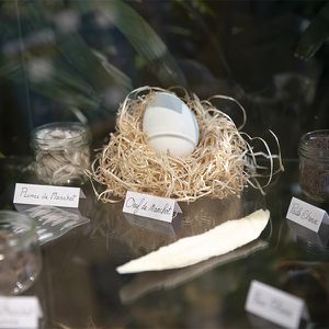 Animations Tour du Monde Maison Beauval Nature - Présentation matériel pédagogique - ZooParc de Beauval