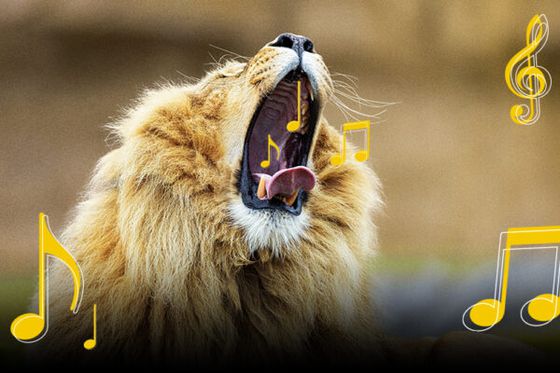 Jeu spécial Fête de la Musique : reconnaissez les cris des animaux et gagnez des lots géniaux !