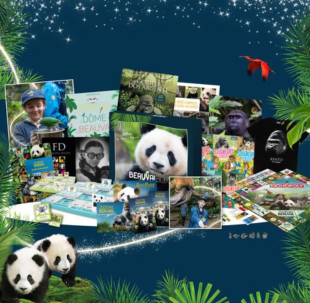 Jeu calendrier de l'Avent - Noël à Beauval - ZooParc de Beauval