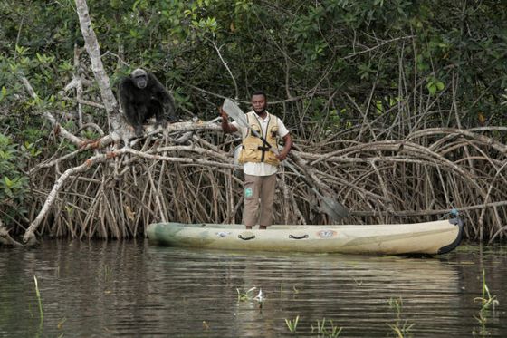 Protection de la biodiversité : comprendre l’urgence et agir à votre échelle.