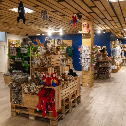 Intérieur de la boutique climatisée Autour du monde à Beauval