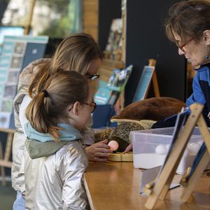 Animations avec ou sans - Maison Beauval Nature - ZooParc de Beauval