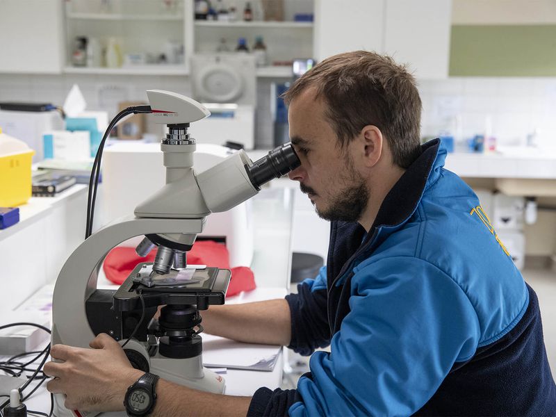 Laboratoire - Clinique vétérinaire et centre de recherche - ZooParc de Beauval