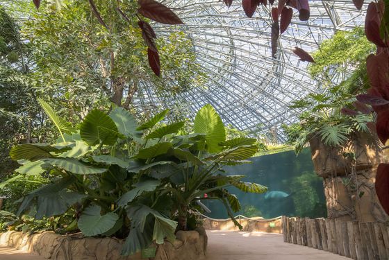 Visite guidée Entre coulisses et innovations Visite guidée Entre coulisses et innovations