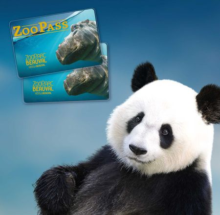 Nouveaux avantages ZooPass - Billetterie - ZooParc de Beauval