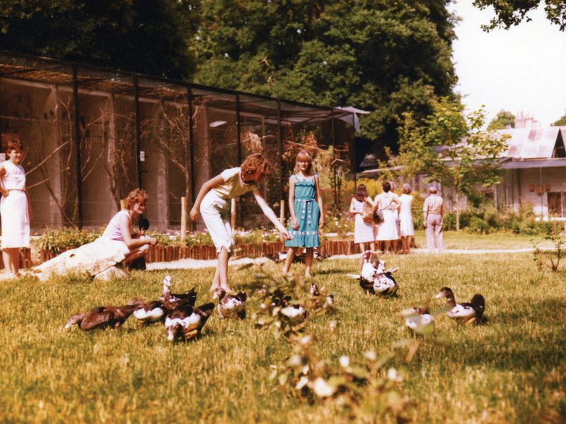 The ZooParc in its early days