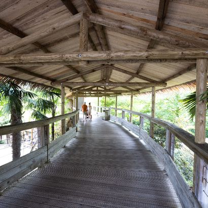 Chemin couvert permettant de marcher à l'ombre au ZooParc de Beauval