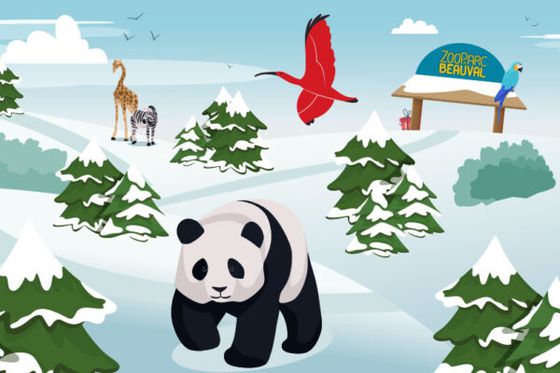 Calendrier de l’Avent : 24 jours pour tenter de gagner des cadeaux signés Beauval