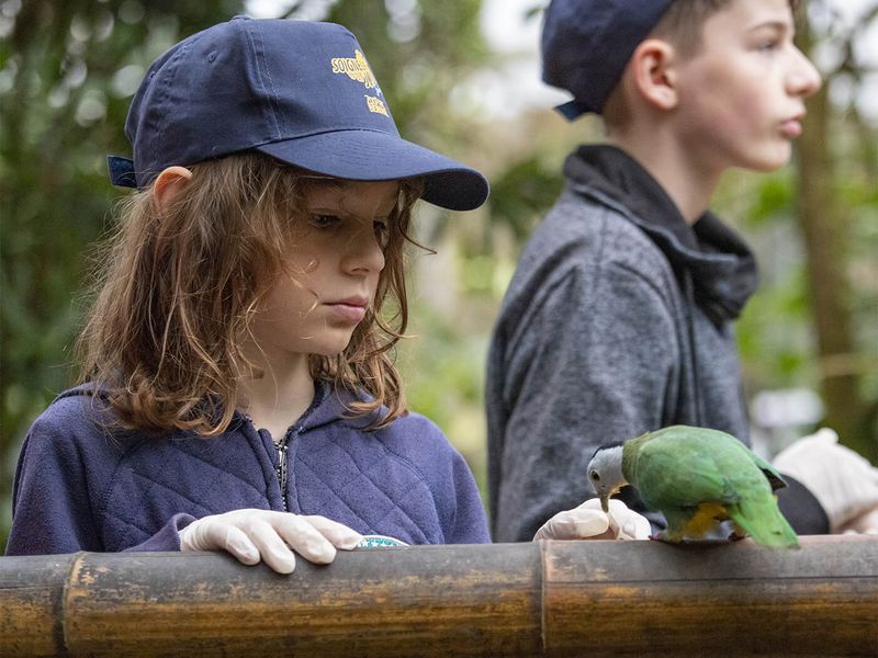 Activité Soigneur d'un Jour junior Activité Soigneur d'un Jour junior