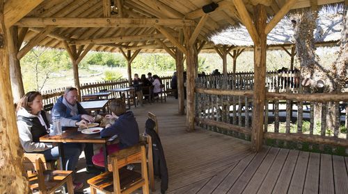 L'Etosha - Restaurant - ZooParc de Beauval