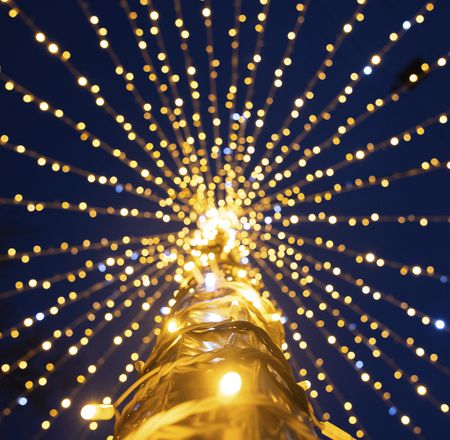 Noël à Beauval - Événements - ZooParc de Beauval