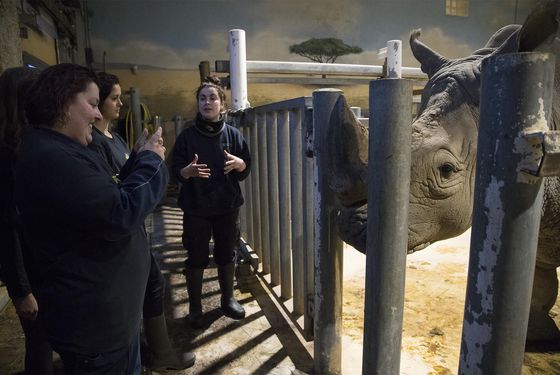 Activité Soigneur d'un Jour - Les animaux de la Savane Africaine - ZooParc de Beauval Activité Soigneur d'un Jour - Les animaux de la Savane Africaine - ZooParc de Beauval
