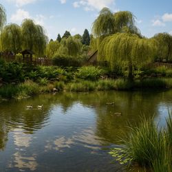Bucolia - Ferme grandeur nature - Territoire du ZooParc de Beauval