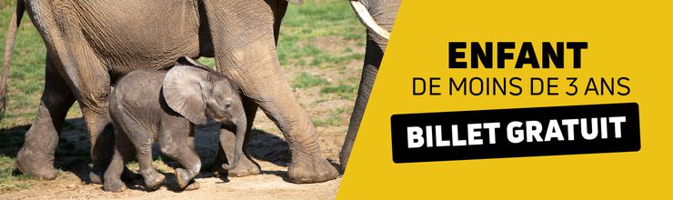 Billet gratuit enfant moins de 3 ans - ZooParc de Beauval