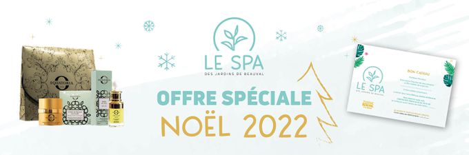 Offre spa décembre - Les Hôtels de Beauval - ZooParc de Beauval