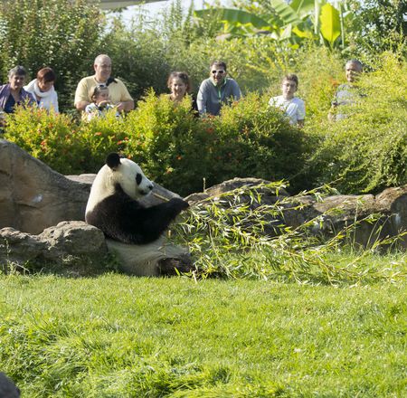 Offre promo CSE - Billetterie - ZooParc de Beauval