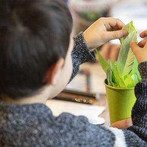 Animations à vos masques - Maison Beauval Nature - ZooParc de Beauval