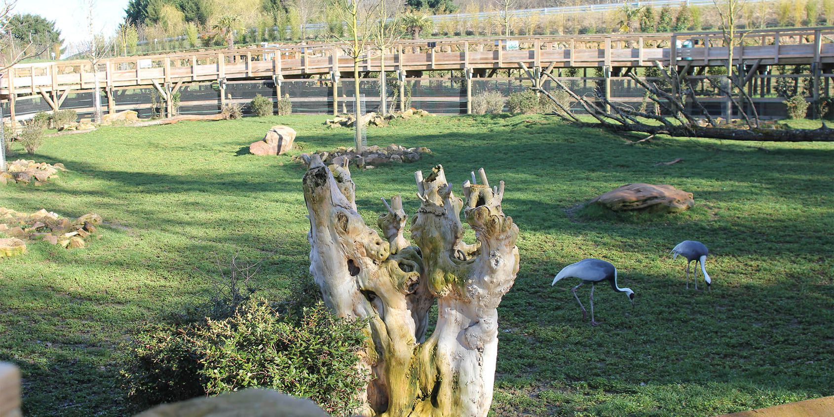 La Plaine Asiatique - Territoire du ZooParc de Beauval