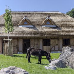 Bucolia - Ferme grandeur nature - Territoire du ZooParc de Beauval