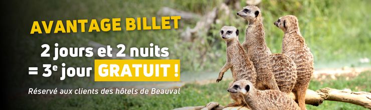 Offre Billet ZooParc Hôtel - Billetterie - ZooParc de Beauval Offre Billet ZooParc Hôtel - Billetterie - ZooParc de Beauval