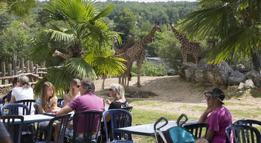 La Savane - Restaurant - ZooParc de Beauval