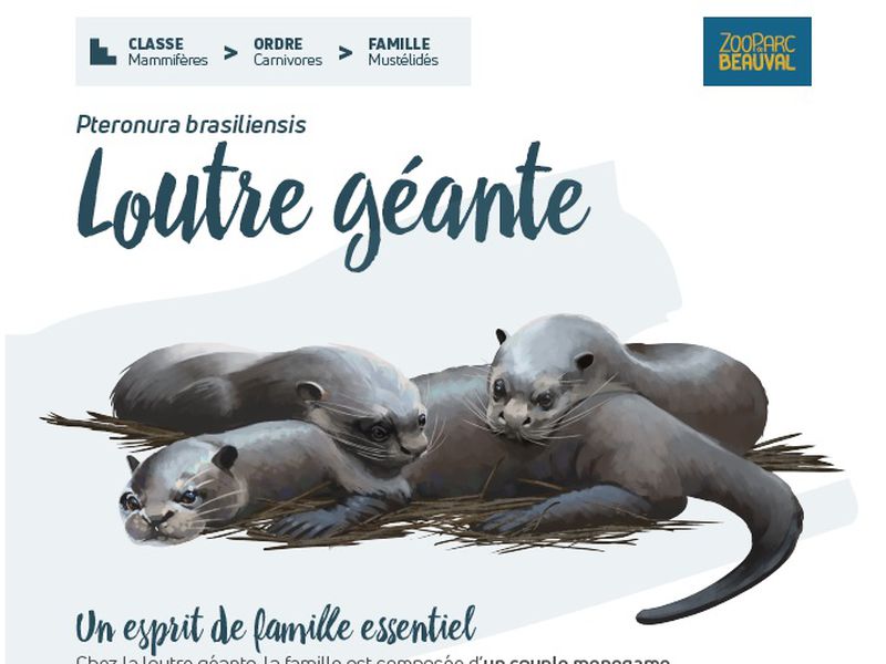 Nouveau panneau pédagogique du Dôme Équatorial -  Loutre géante - Pédagogie - ZooParc de Beauval