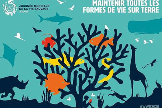 Journée Mondiale de la Vie Sauvage 2020