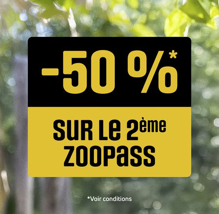 Offre ZooPass été 2025 - Billetterie - ZooParc de Beauval